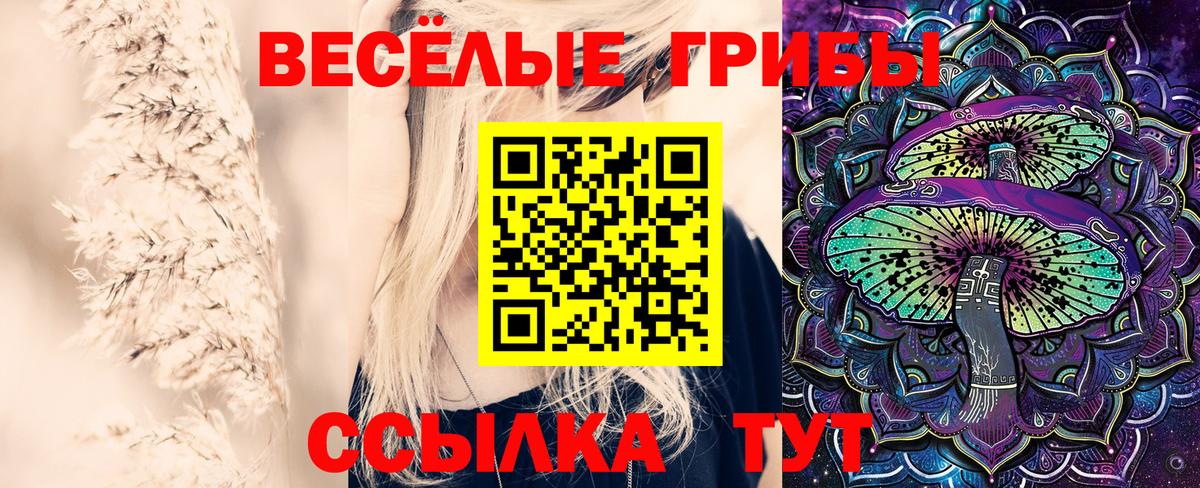 Галлюциногенные грибы мицелий Серов