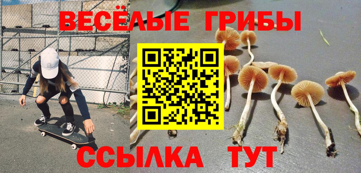 Псилоцибиновые грибы GOLDEN TEACHER  Вход с VPN  Галлюциногенные грибы ЛСД  Серов 