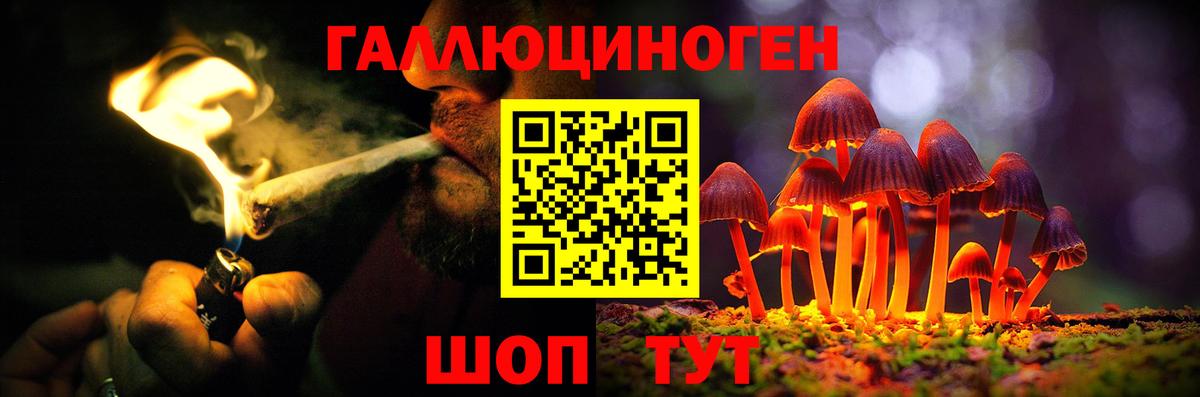 Псилоцибиновые грибы GOLDEN TEACHER  цена наркотик  Серов  Галлюциногенные грибы MAGIC MUSHROOMS 